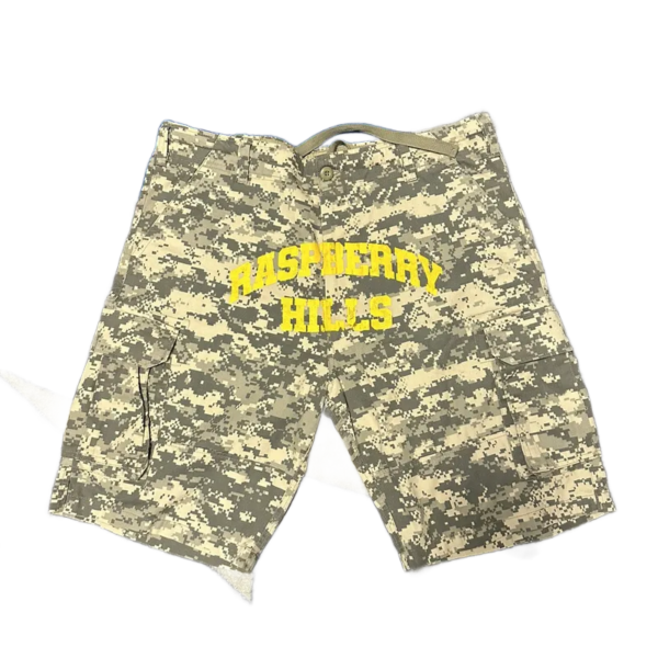 Gv Gallery Digi Camo Shorts